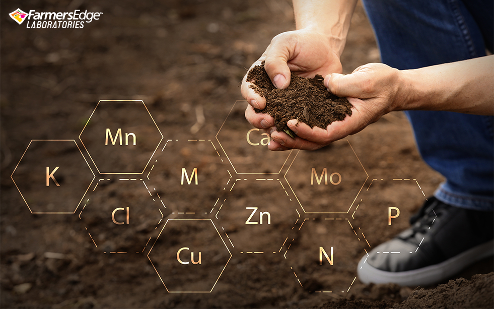 5 Things to Know About Virtual Soil Testing (VST) and the Future of Predictive Agronomy